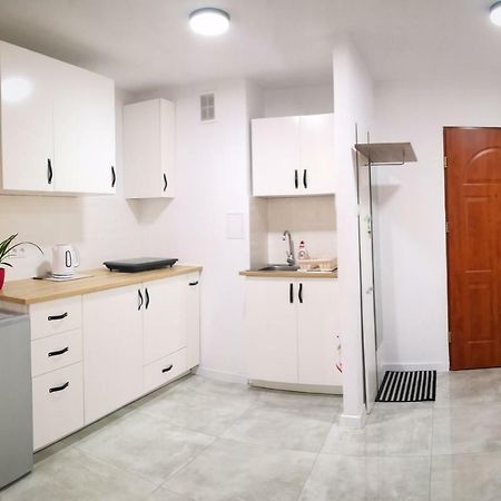Apartament Alfa Apartman Stary Toruń Kültér fotó