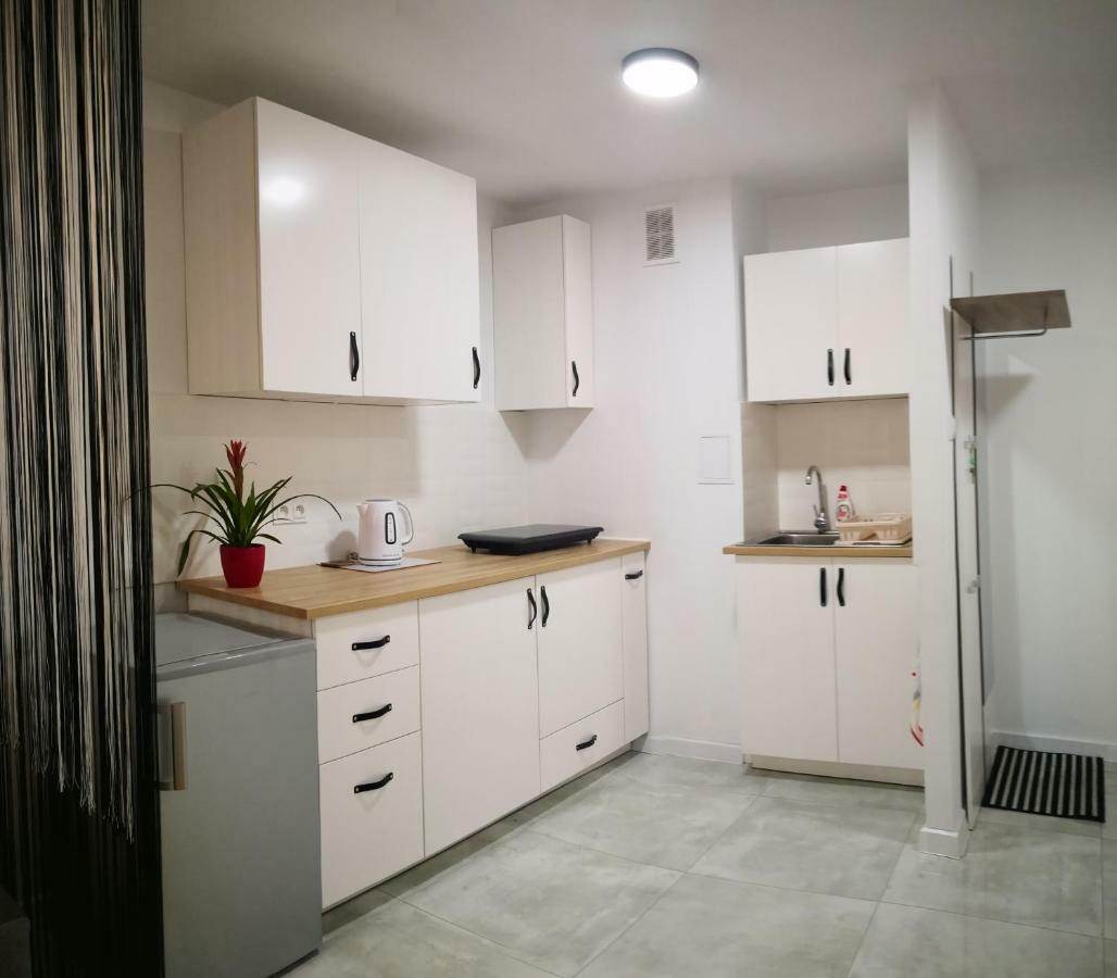Apartament Alfa Apartman Stary Toruń Kültér fotó