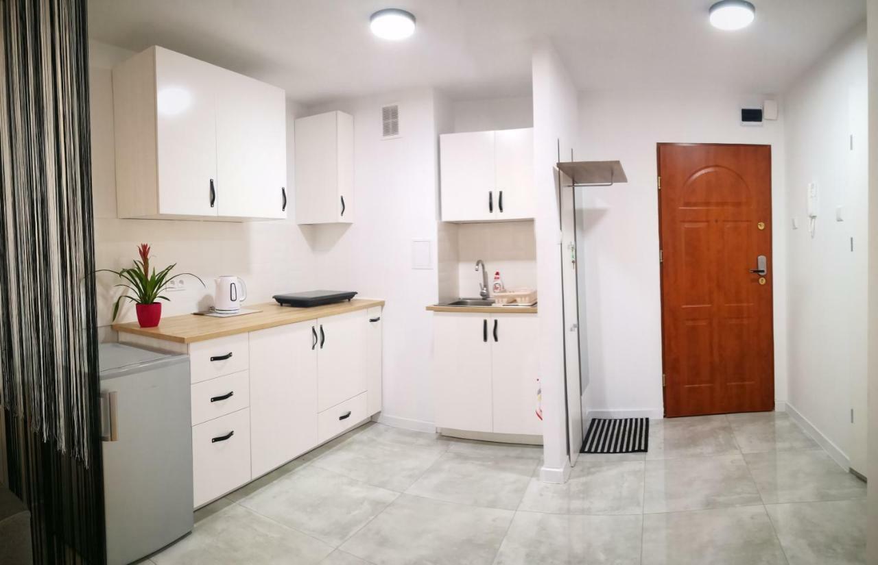 Apartament Alfa Apartman Stary Toruń Kültér fotó